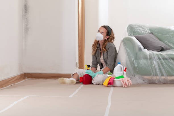 Reliable Attic Mold Removal contractor in Whippany, NJ by WQB Mold Removal